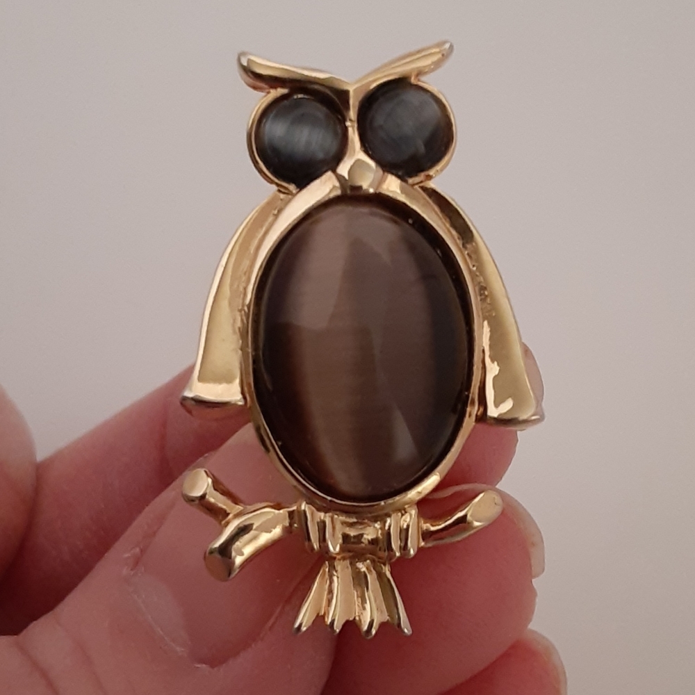 Brown And Gray Cats Eye Owl Pin/Brooch